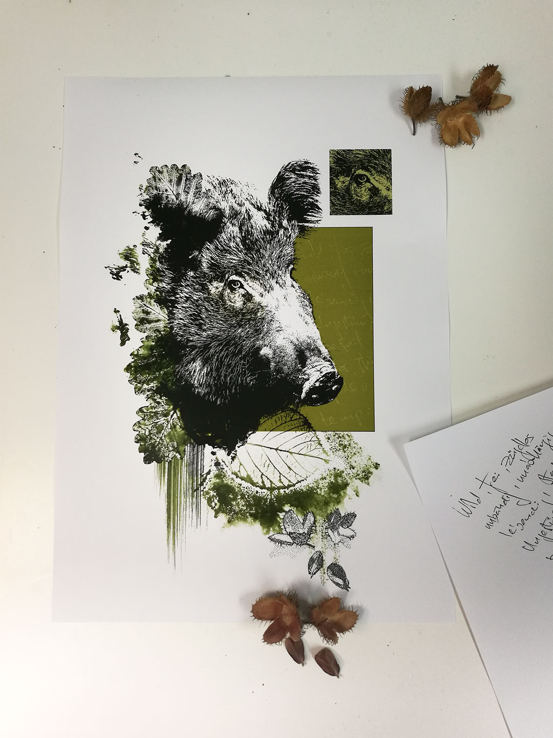 Detail von der Wildsau – Sus Scrofa aus der HelvEdition von Ka L-O-K