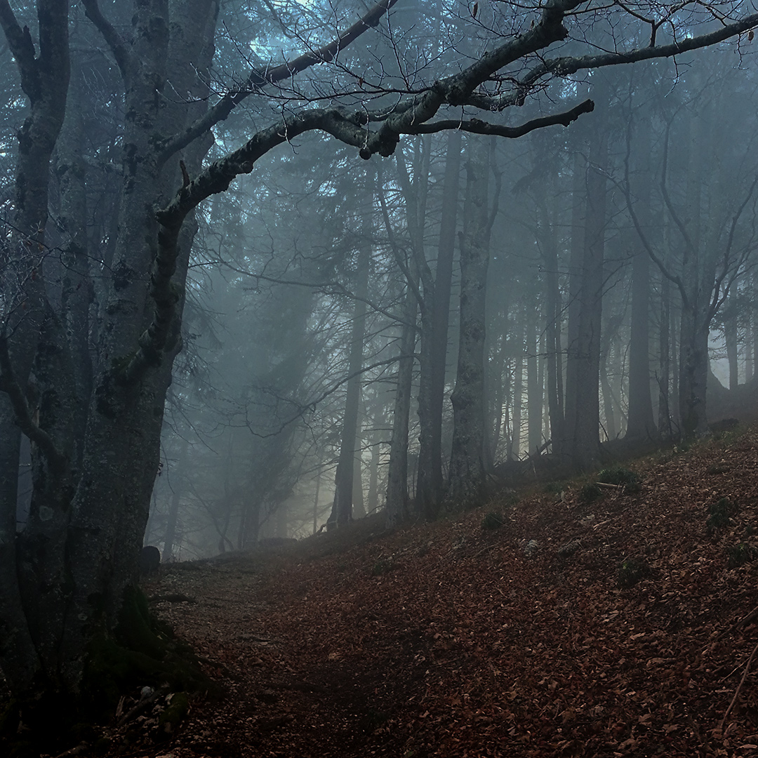 To the Light by Ka L-O-K